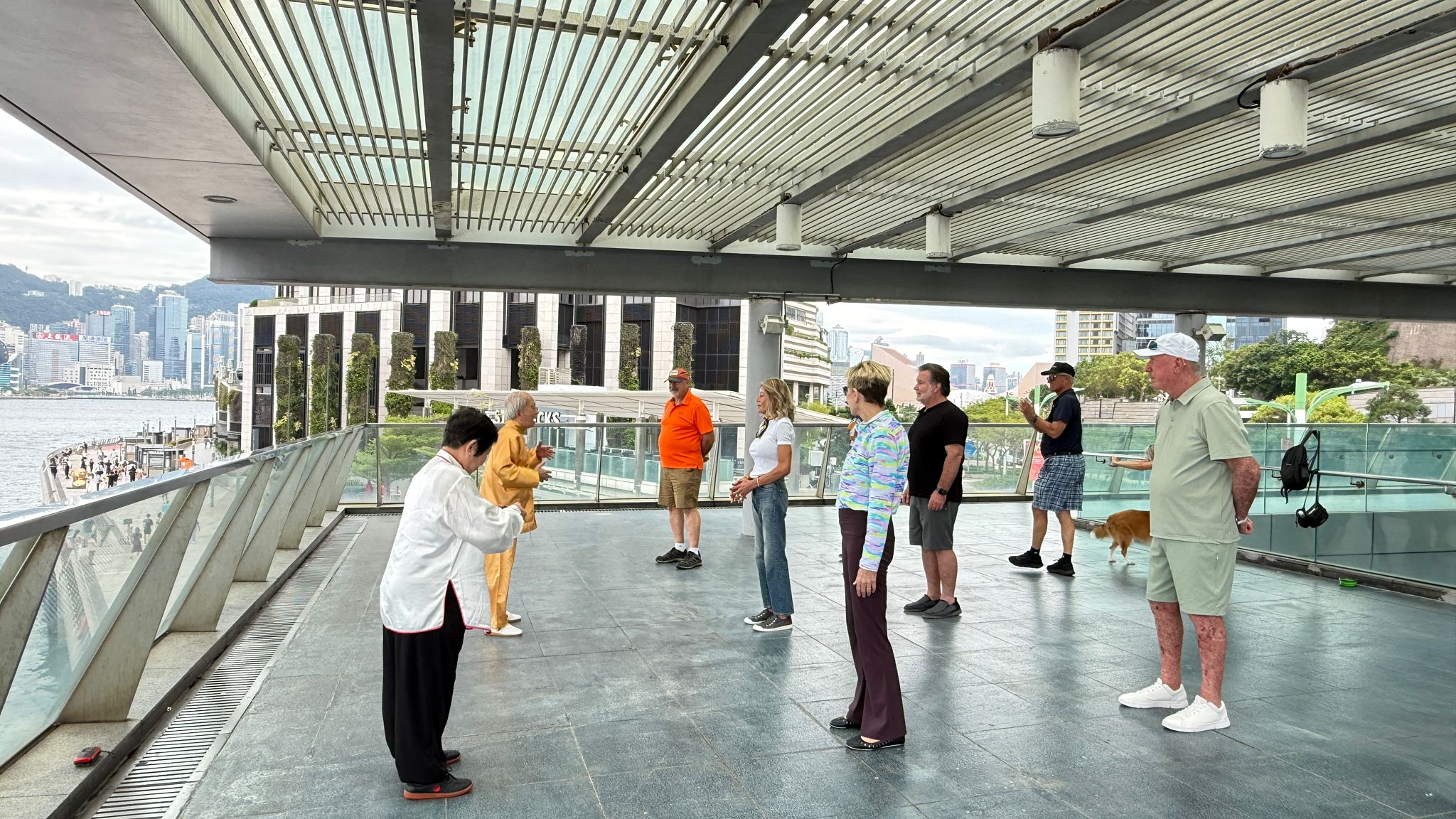 Traditional Tai Chi Exercise Workshop
